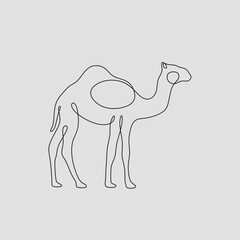 Arab men riding camels line drawing. Continuous one line art. Vector illustration