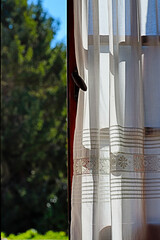 Open window over a garden in summer