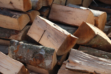 Fototapeta Pryzma drewna opałowego leży przygotowana na zimę.  obraz