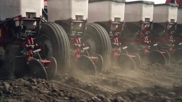 sowing the field with corn grains. tractor works the field with a seeder. close-up