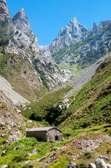 Fototapeta na wymiar view of the mountains in the summer, Picos de Europa, Asturias, Spain, cares route, mountaineering trail, trecking