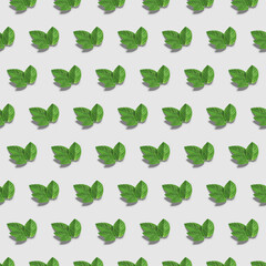 Fresh mint leaves on white background. Top view. Wallpaper abstract composition of mint. 