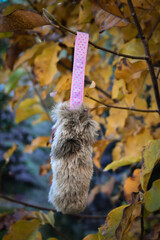 Soft fluffy fleece toys for dog. soft toy from fleece suitable for every dog and cat