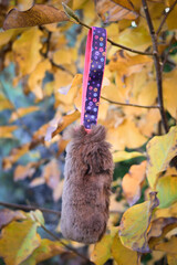 Soft fluffy fleece toys for dog. soft toy from fleece suitable for every dog and cat