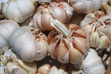 Close shot of Garlic bulb and cloves in rattan bowl.