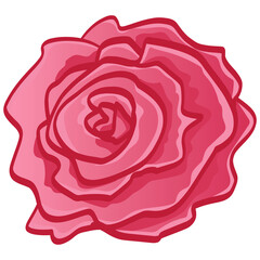 Red Rose Bud Flower Floral Doodle Line Art Drawing Illustration Design