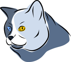 Vector illustration of a cat
