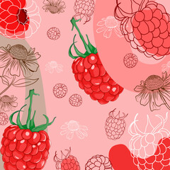 Abstract background with fruit, colourful background, grapefruit background.tropical.Red Raspberries pattern
