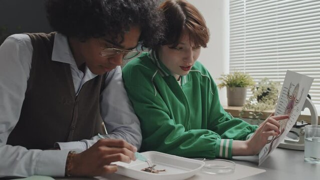 Low angle of African American guy and Caucasian girl sitting at school desk in morning, dissecting frog, looking at anatomy map