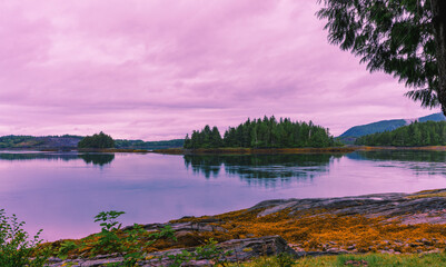 Trees on island, reflected in placid waters of Bearskin Bay, Haida Gwaii, BC, early summer morning.