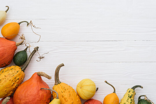Harvest festival background with autumn border from squash and decorative gourds on white