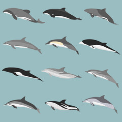 seamless pattern of dolphins
