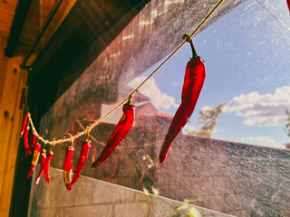Red hot chili peppers hanging on a rope at window