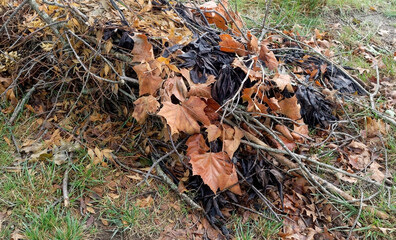 Pile of fall leaves and branches
