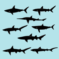 illustration of a shark