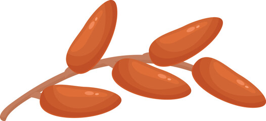 Seed date fruit icon cartoon vector. Palm food. Saudi fresh