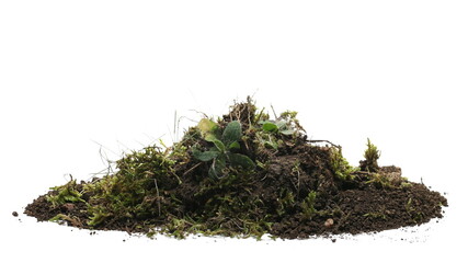 Green moss on soil, dirt pile with grass isolated on white  