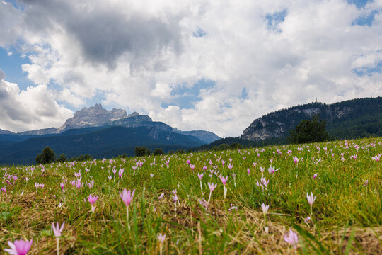 Landscape surroundings Cortina d'Amepzzo - Italy © Giuseppe Cammino