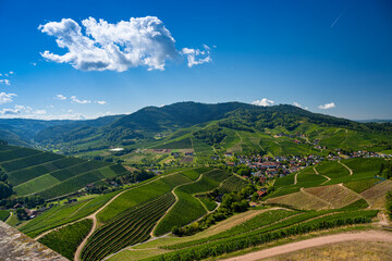 Fototapeta na wymiar View from Staufenberg Castle to the Black Forest with grapevines near the village of Durbach in the Ortenau region_Baden, Baden Wuerttemberg, Germany.