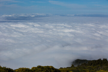 Fototapeta premium Spring sunset in Caldera De Taburiente Nature Park, La Palma Island, Canary Islands, Spain