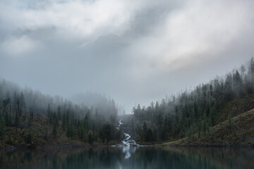 Mountain creek flows from forest hills into glacial lake in mysterious fog. Small river and coniferous trees reflected in calm alpine lake in early morning. Tranquil misty scenery with mountain lake.