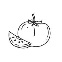 kiwifruit in hand drawn illustration, For food business isolated background