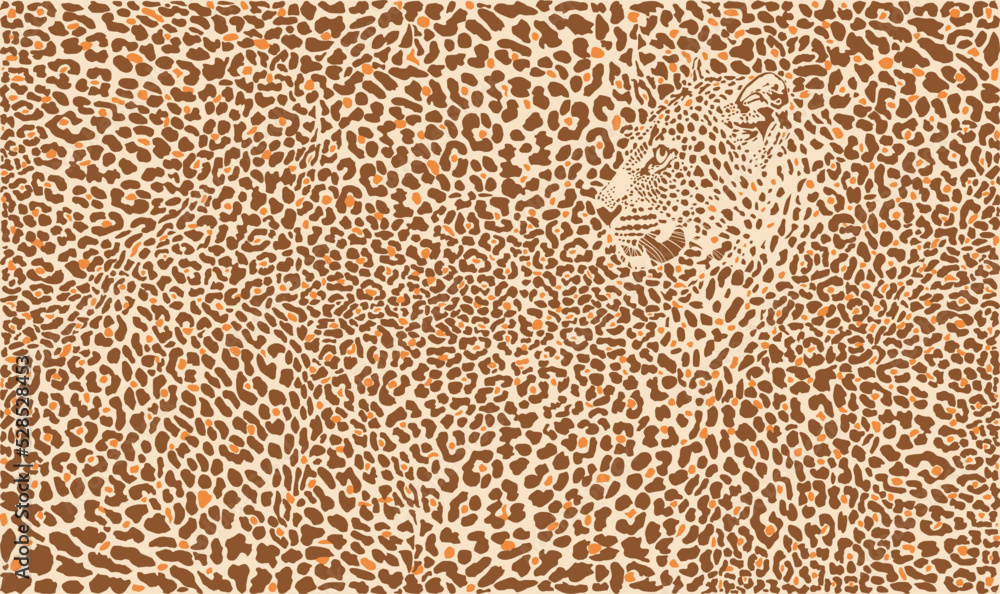 Wall mural vector pattern leopard background