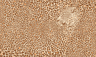 Vector pattern leopard background