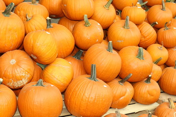 Tom Fox Kürbisse auf Stapel