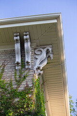 Nature / Forest in Ontario, CAD. Sunset, spider web, trees, plants, beach, leaves, lake with a dock, street, abandoned house, river, lily pads, fishing, relaxing summer with coffee, sunflowers, etc.