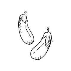 eggplant for vegetables and fruits illustrations design