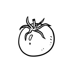 tomato for vegetables and fruits illustrations design