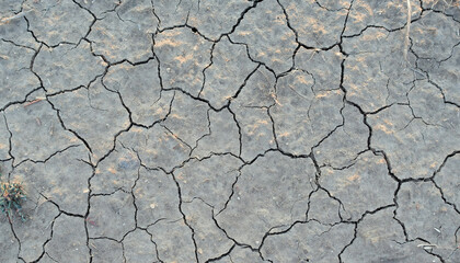 Ground with cracks during drought