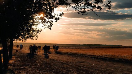 Sunset in the steppe on a dusty road