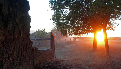 Sunset in the steppe