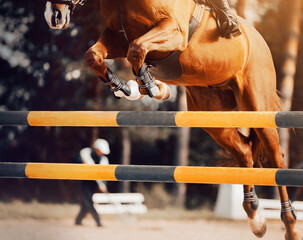 A beautiful bay horse with a rider in the saddle jumps over a high yellow barrier, illuminated by...