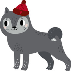 Funny gray dog in red hat. Cute happy pet