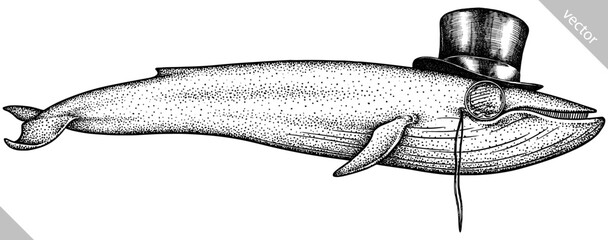 Vintage engrave isolated dressed fashion blue whale set illustration humpback costume ink sketch. Wild new hat sunglasses hipster cachalot background line glasses giant  dolphin vector art © Turaev