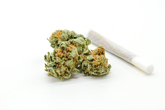 marijuana cigarette or joint weed isolated on white background