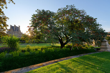 The Tuileries garden in Paris city