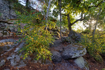 Denecourt hiking path 2 in Fontainebleau forest