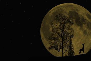 Fototapeta na wymiar moon and tree on the hill