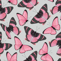 Vector pattern with high detailed tropic butterfly