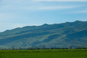 Obraz premium Green field near the mountain