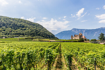 Fototapeta na wymiar Le Chateau d'Aigle en Suisse