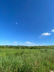green field and blue sky