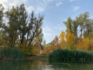 Fototapeta premium autumn in the park