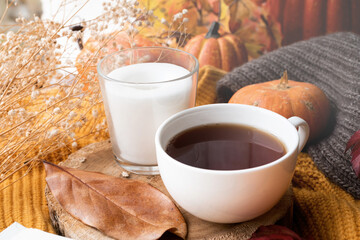 Cozy autumn composition, sweater weather. Pumpkins, hot tea and sweaters on window