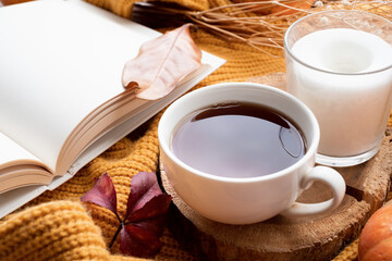Cozy autumn composition, sweater weather. Pumpkins, hot tea and sweaters on window