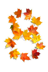 Number 8 from of colorful autumnal maple leaves on white background. Top view, flat lay